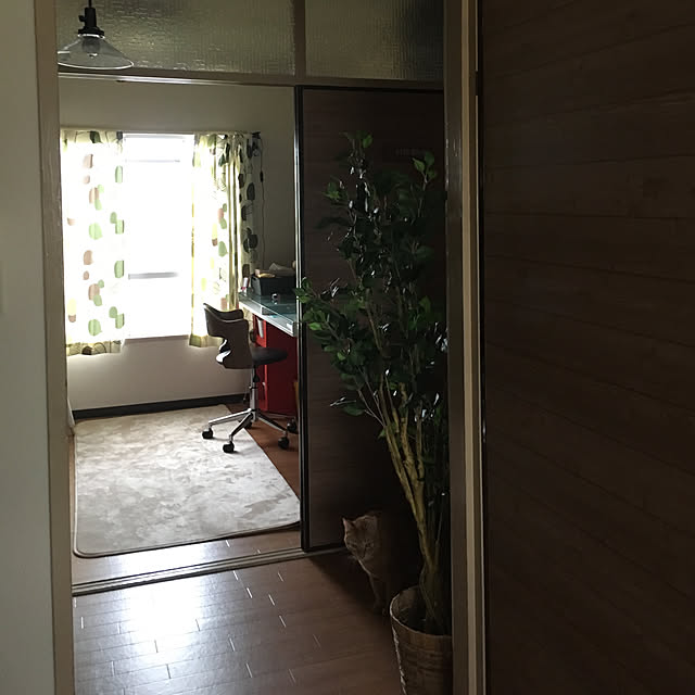 nonnokoさんの実例写真