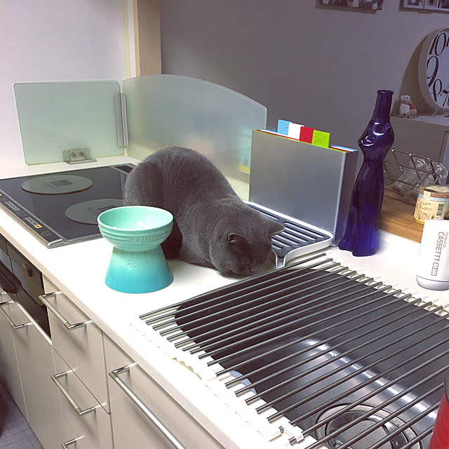 kittyさんの実例写真