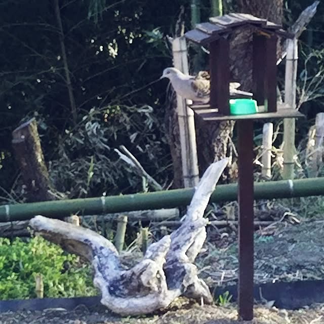 bousuke.215112さんの実例写真
