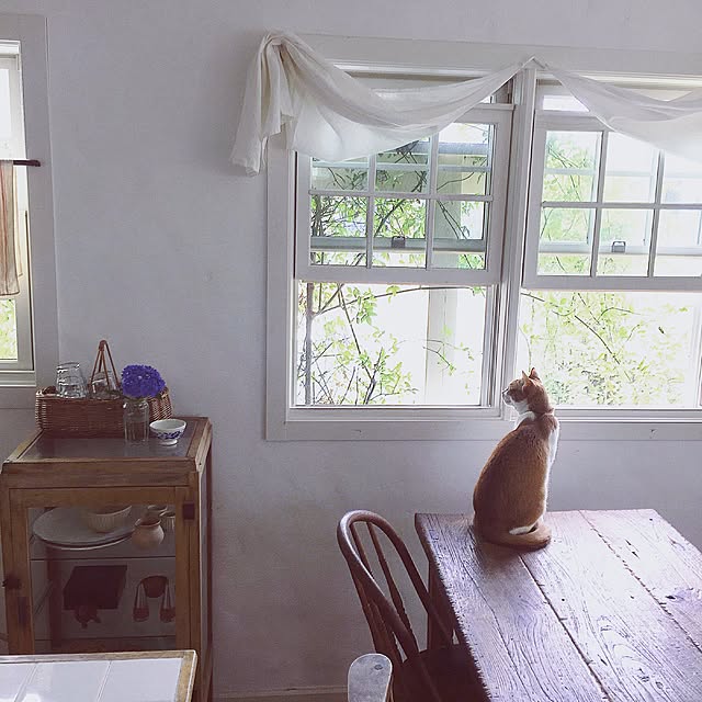 midoriさんの実例写真