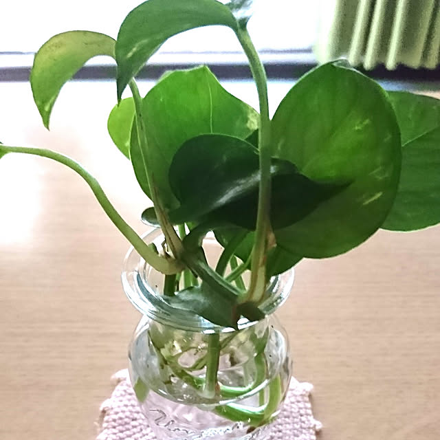 実例写真