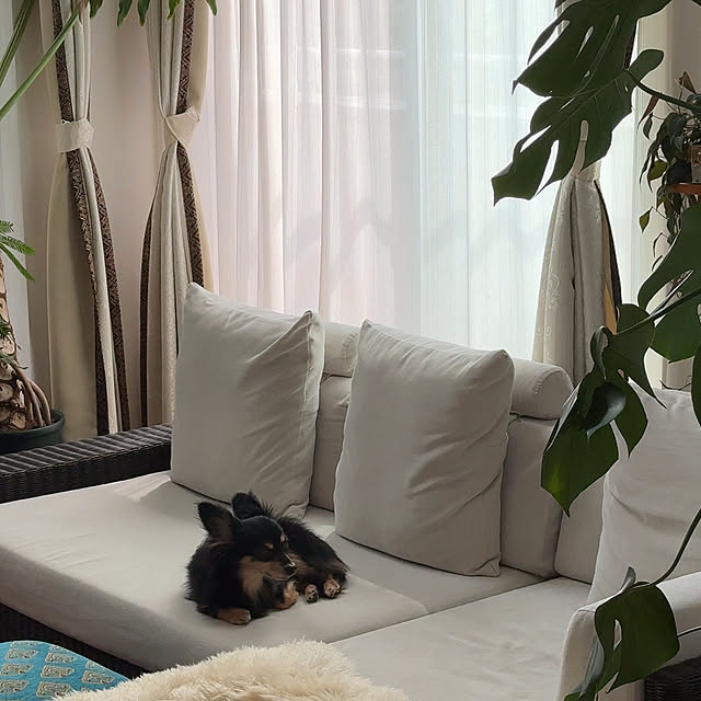 h_a_n_a_y_u_iさんの部屋
