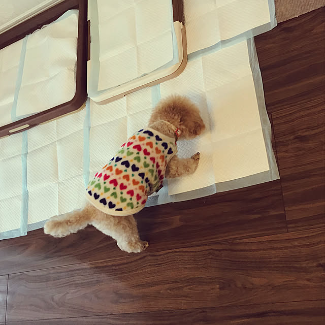 Ran.Happyさんの実例写真
