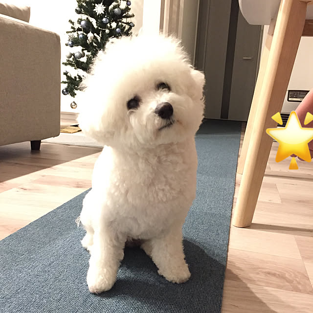 unichanさんの実例写真