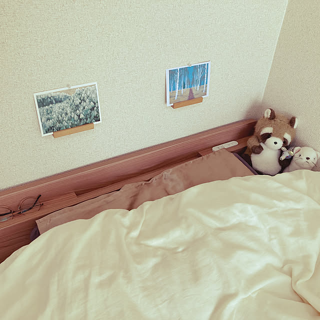 RISAさんの実例写真