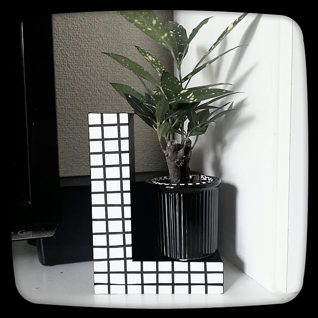 Chiyaさんの実例写真