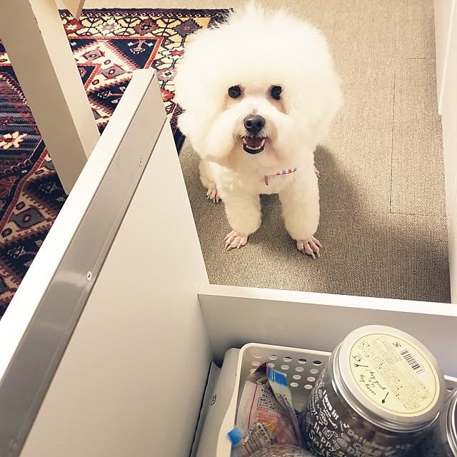 takoさんの実例写真