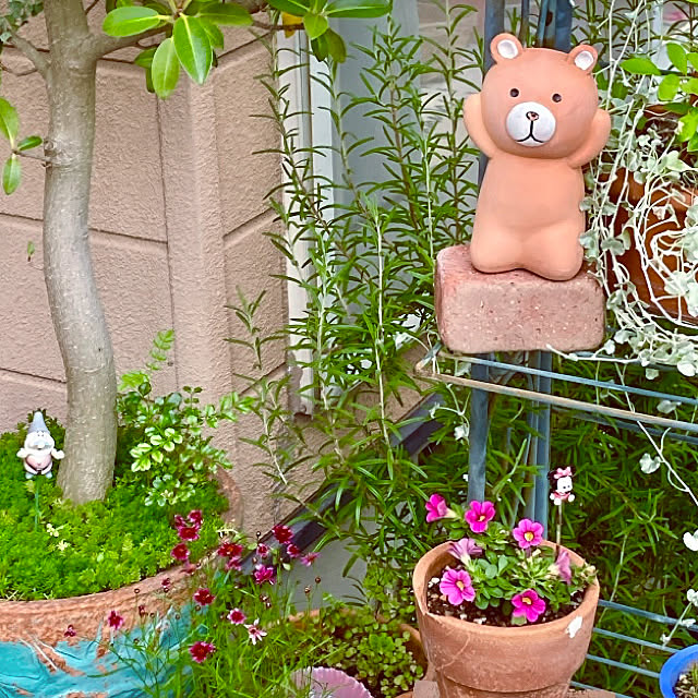 takakoさんの実例写真