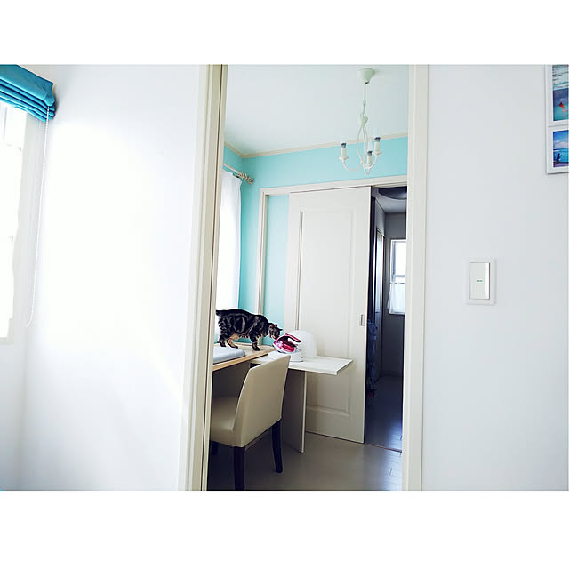 mariさんの実例写真