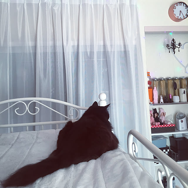 kanaさんの実例写真