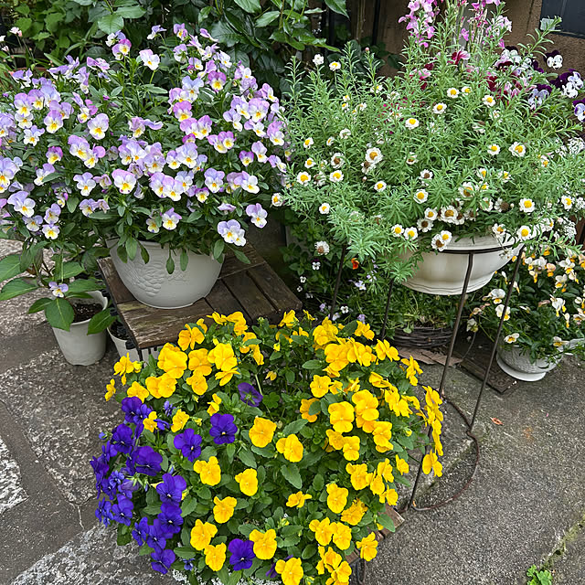 fumikoiさんの部屋