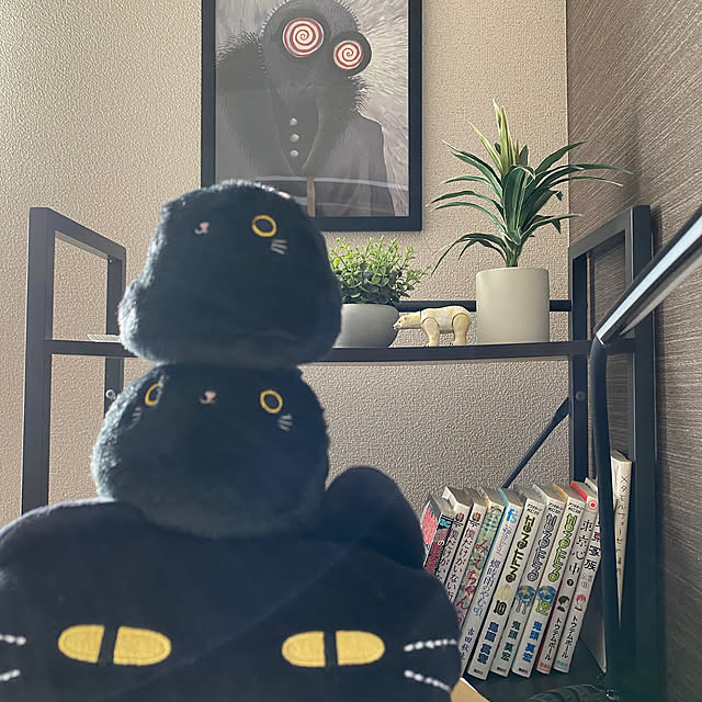 sasanokoさんの実例写真