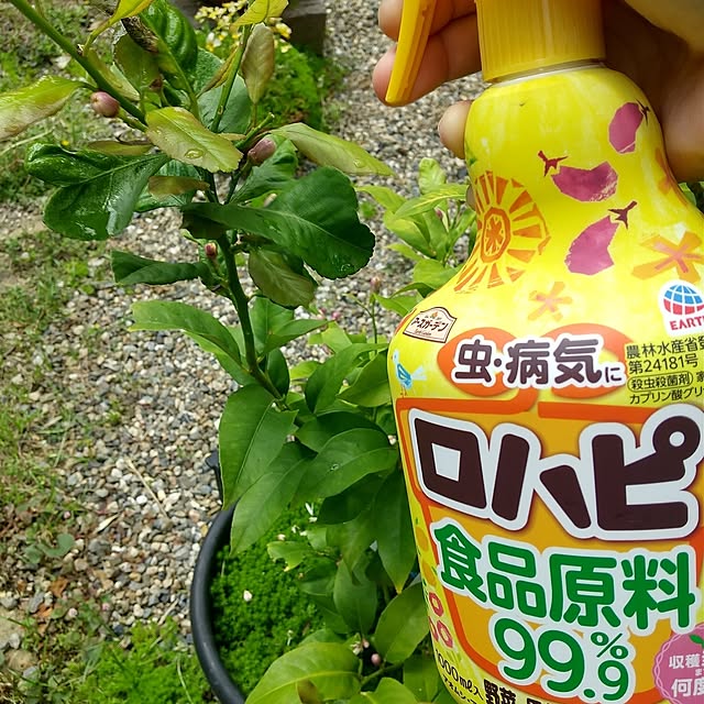 Rさんの部屋