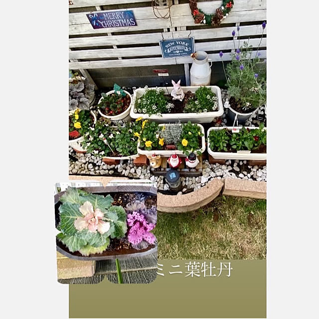 YuuKoさんの部屋