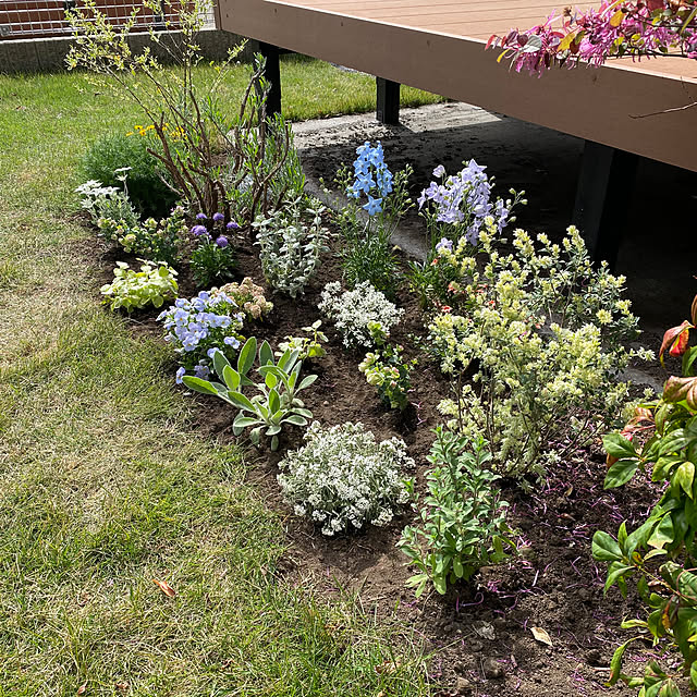 ffuwaさんの部屋