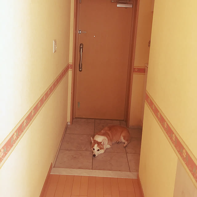 akoさんの実例写真