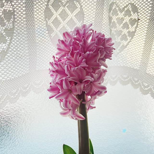 raggedy-aさんの部屋