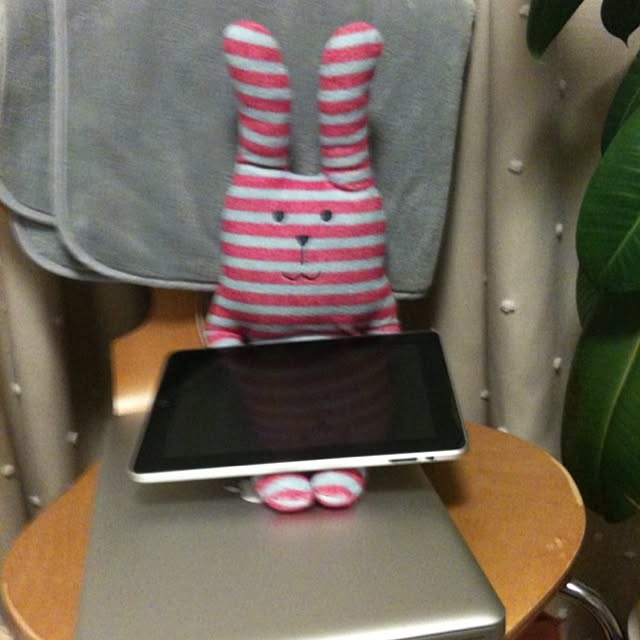 harukaさんの実例写真