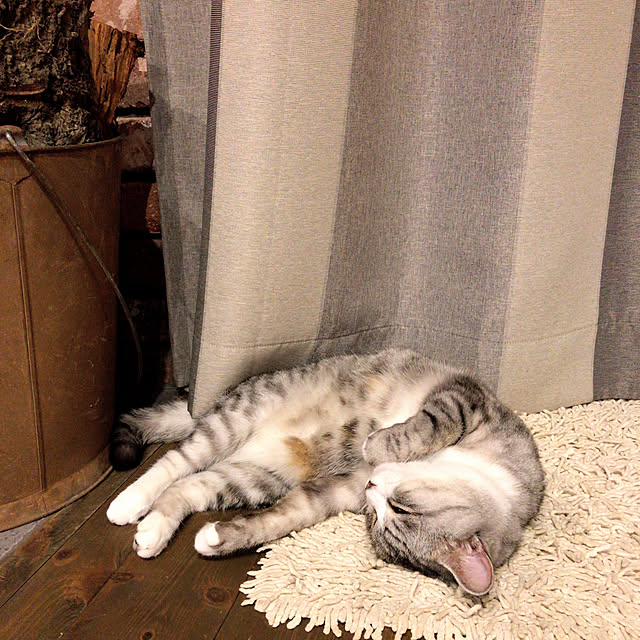 na-sanさんの実例写真