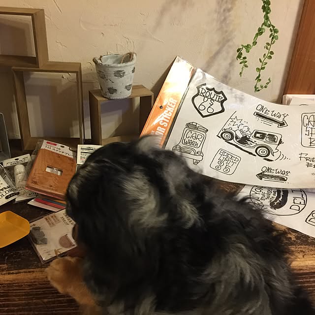 nonpiiiさんの実例写真