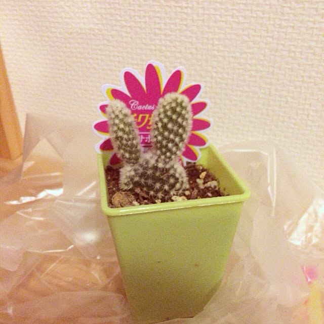 hiromimiさんの実例写真