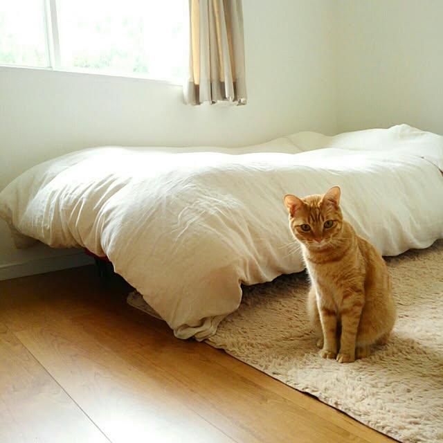 mayutan.さんの実例写真