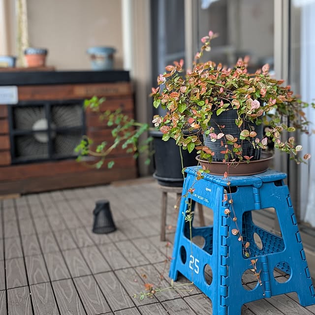 lovepeaceさんの実例写真