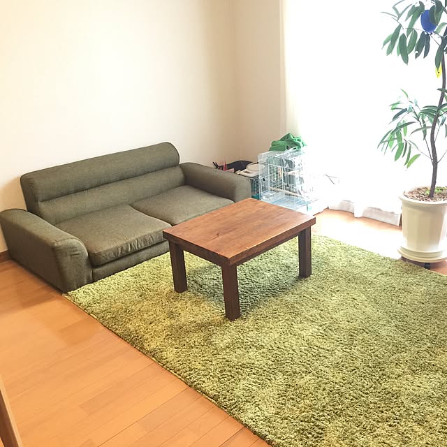 shirokinaさんの実例写真