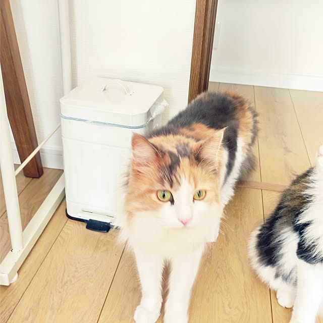 +CHIHARU+さんの部屋