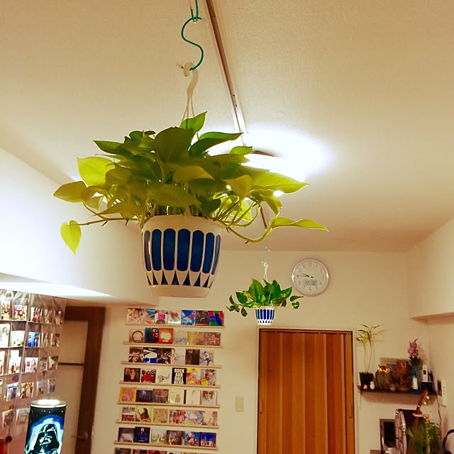 実例写真