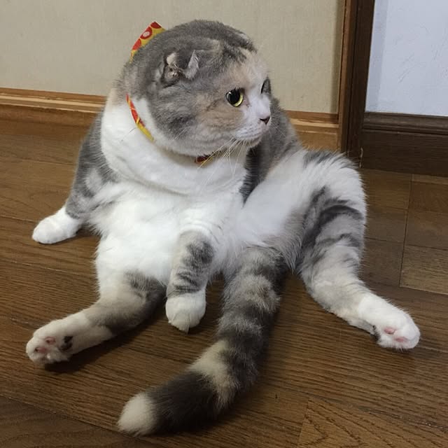 mtkさんの実例写真