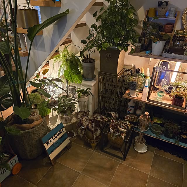 nonbiri_house_さんの部屋