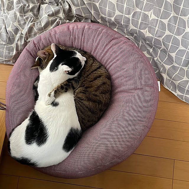 nobikoさんの部屋