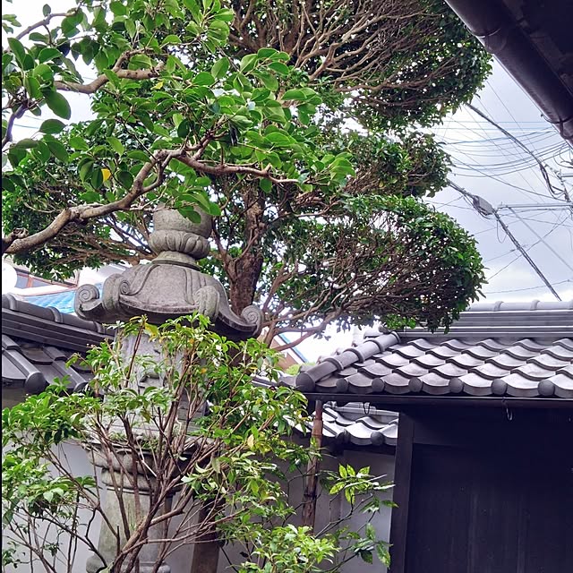 MIPORINNさんの部屋