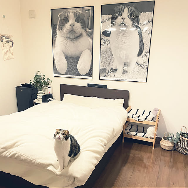 tansukeさんの実例写真