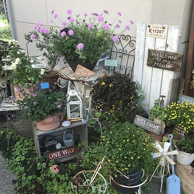 tanomamaさんの実例写真