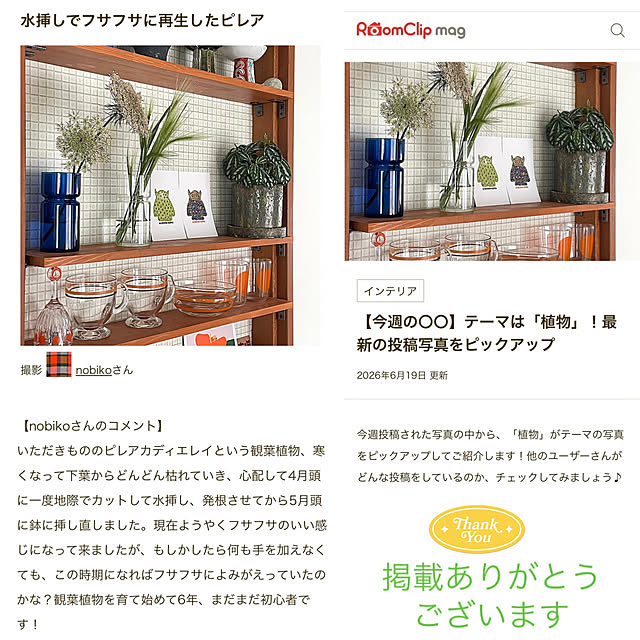 nobikoさんの部屋