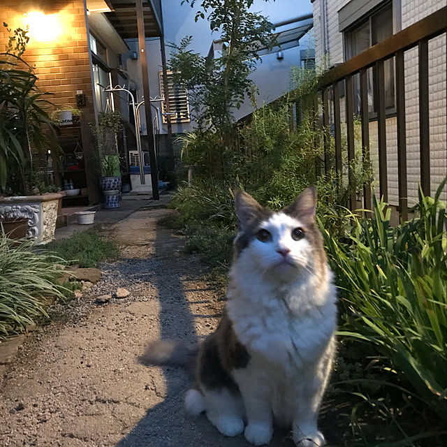 masakoさんの実例写真