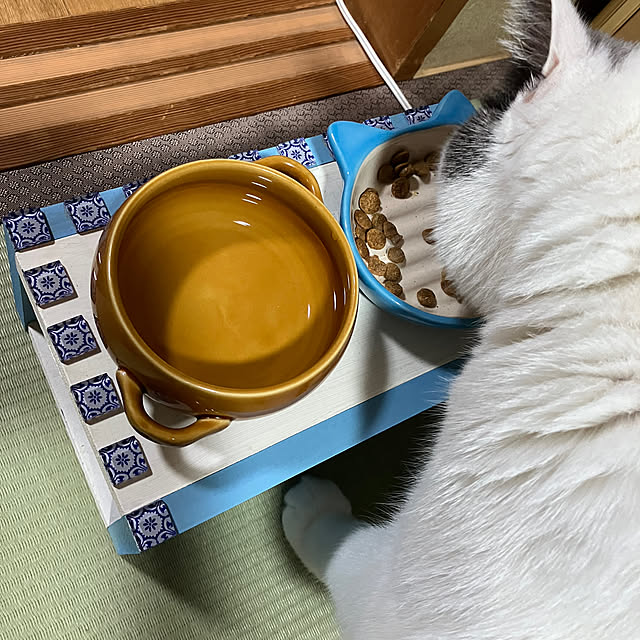kiiroikumaさんの実例写真