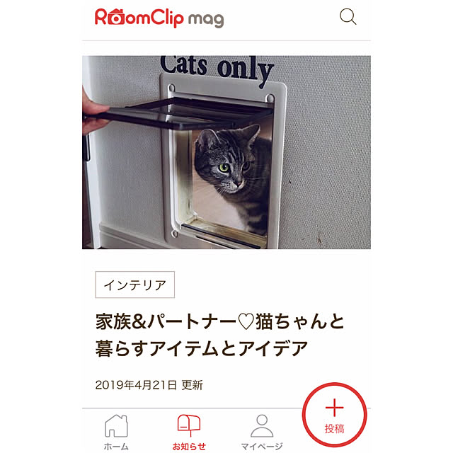 mikomaruさんの実例写真