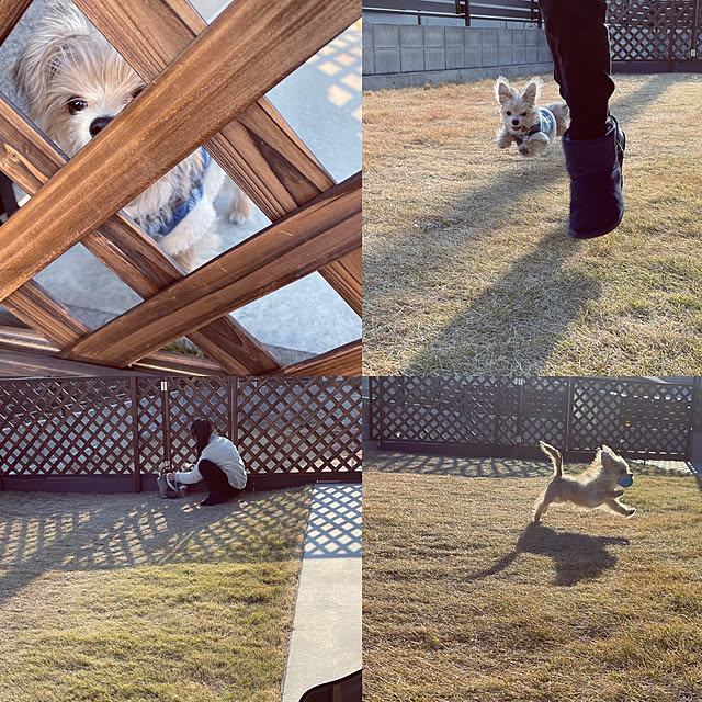 seiさんの実例写真