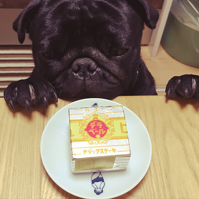 kopandaさんの実例写真