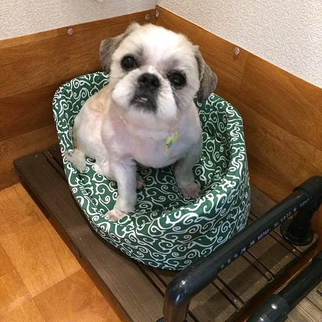 lenkaさんの実例写真