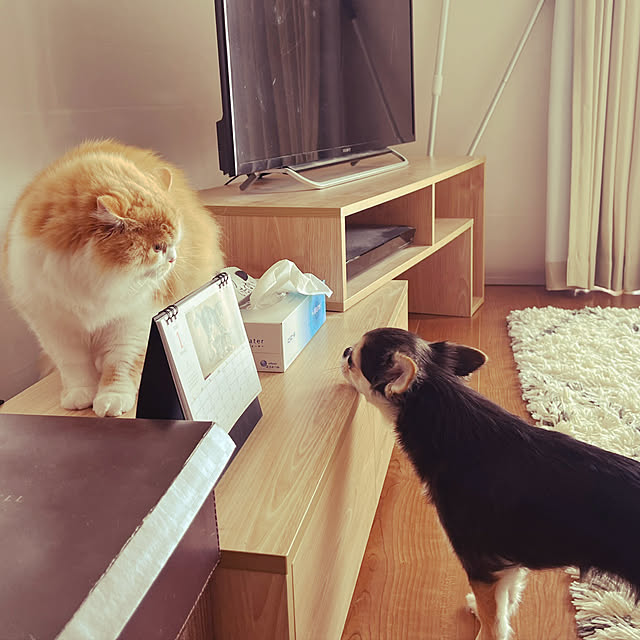 junさんの部屋