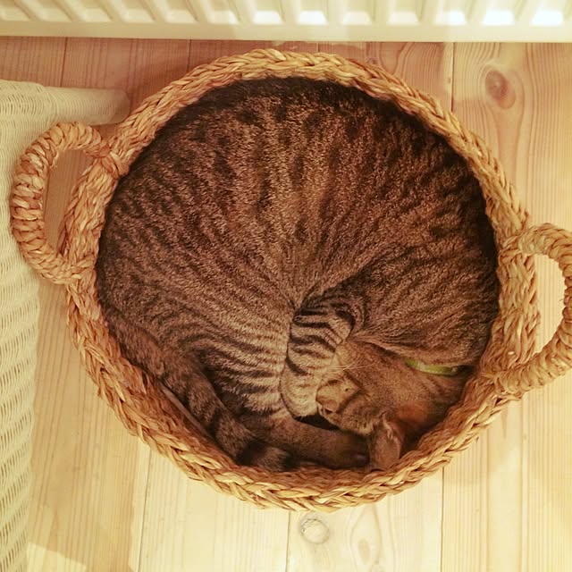 fukuさんの実例写真