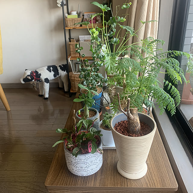JUNさんの実例写真