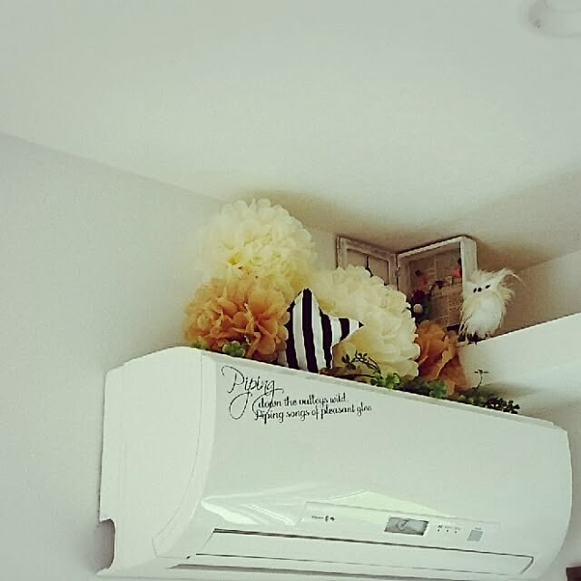 Mayumiさんの実例写真