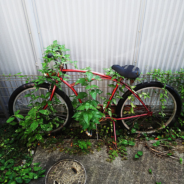 Kira.Ryu.さんの実例写真