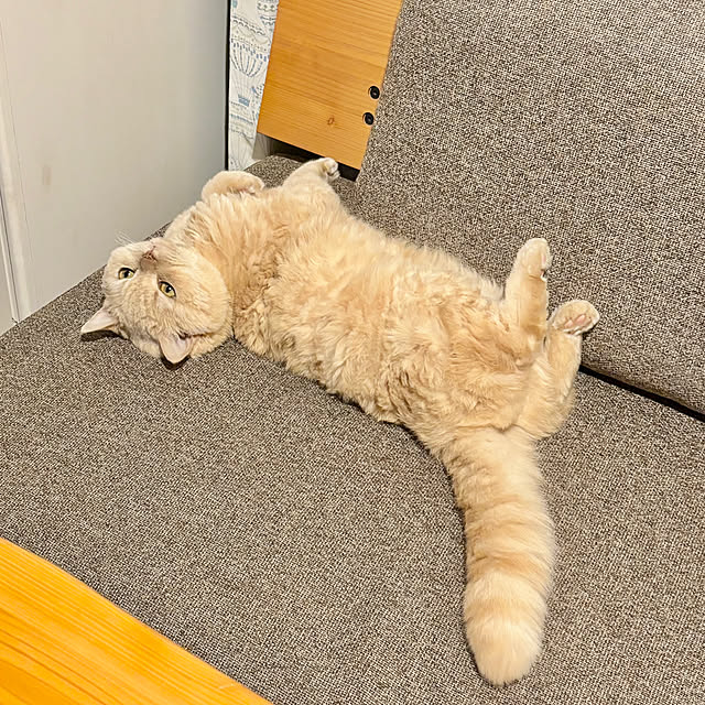 naokoさんの部屋