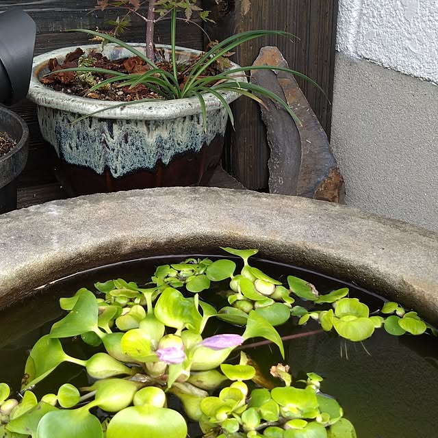 MIPORINNさんの部屋